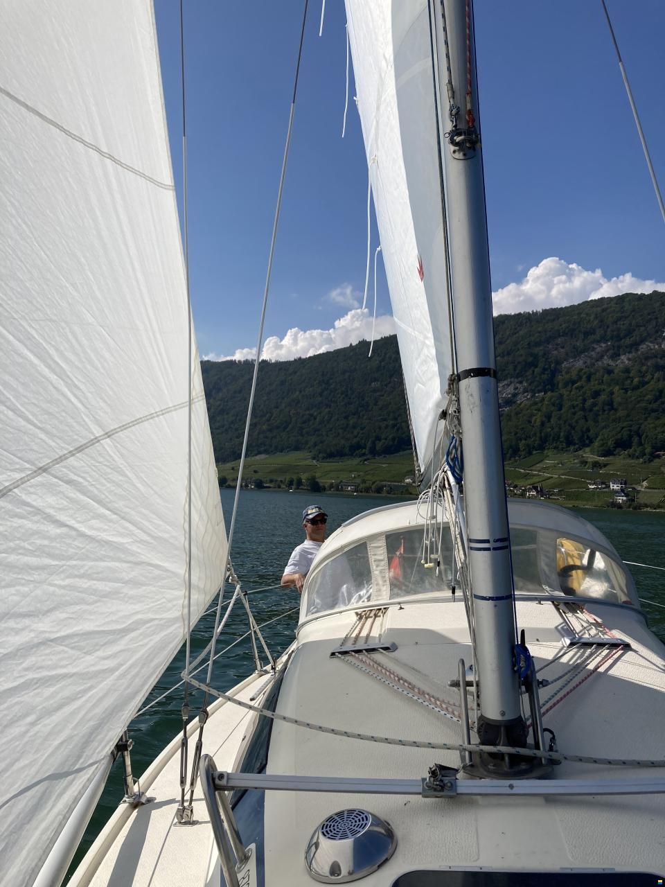 Maxi Fenix