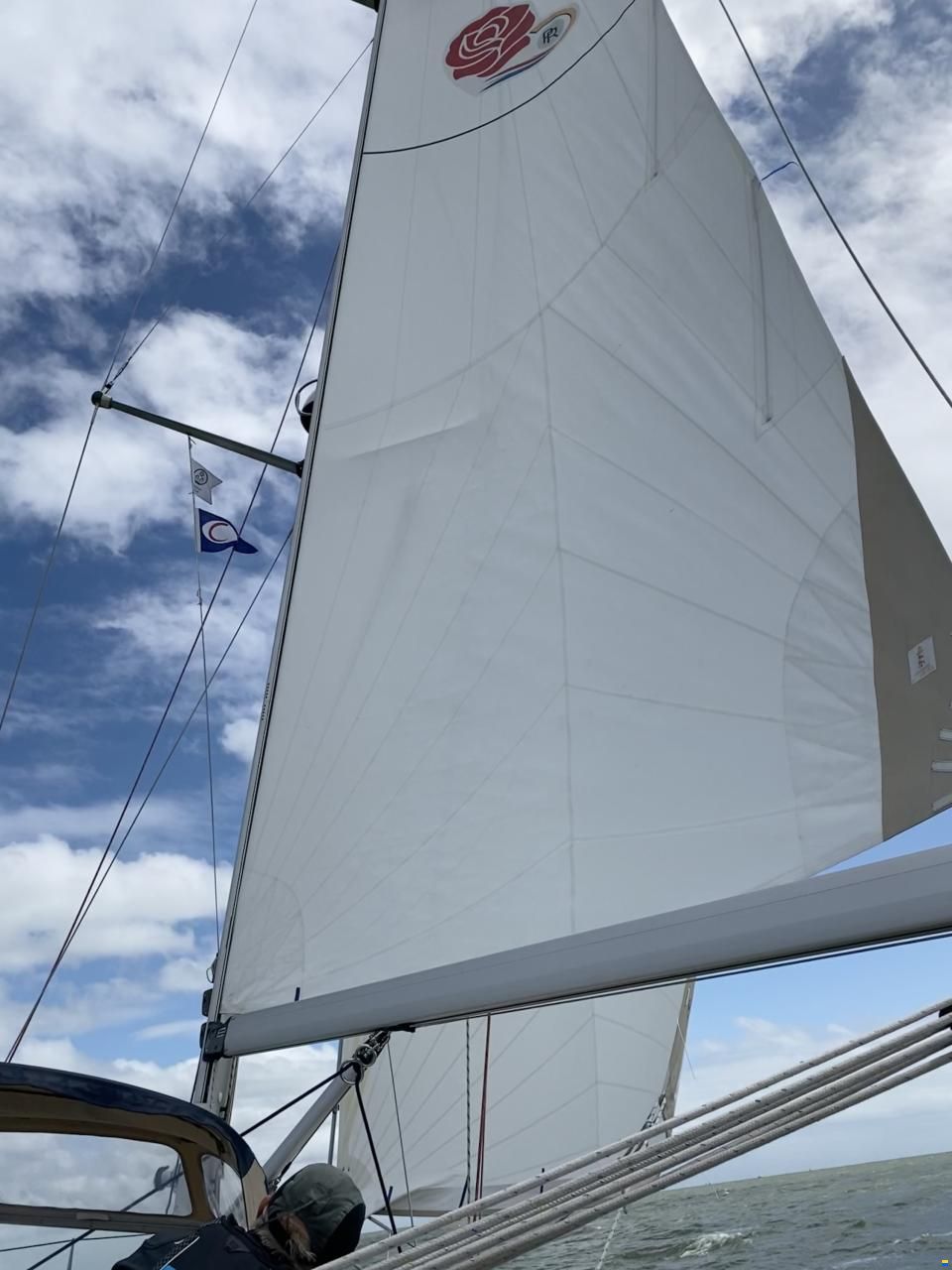 C-Yacht 1100