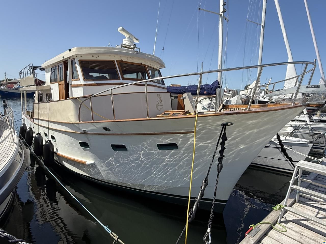 Blue ocean 50
