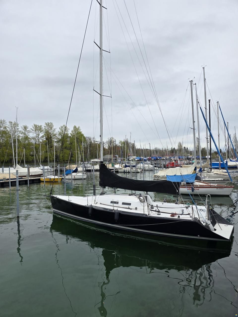 Rommel 37 Race