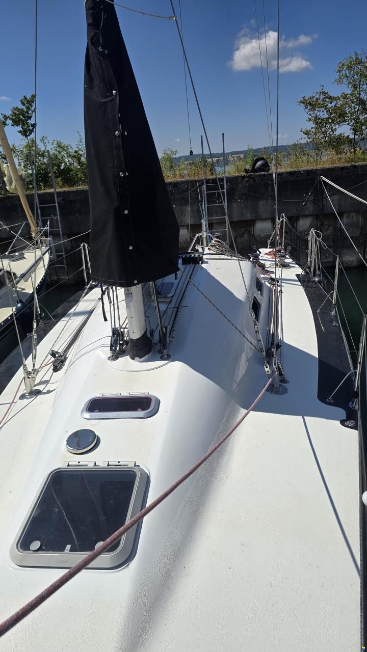 Rommel 37 Race