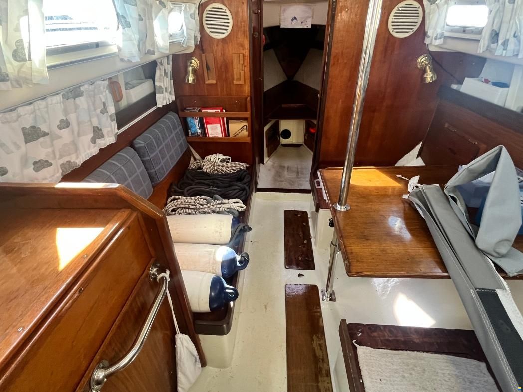 Shipman 28