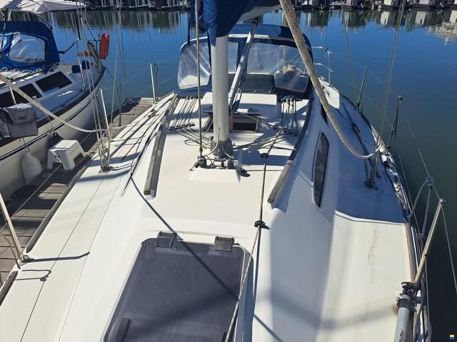 Westerly Regata 310