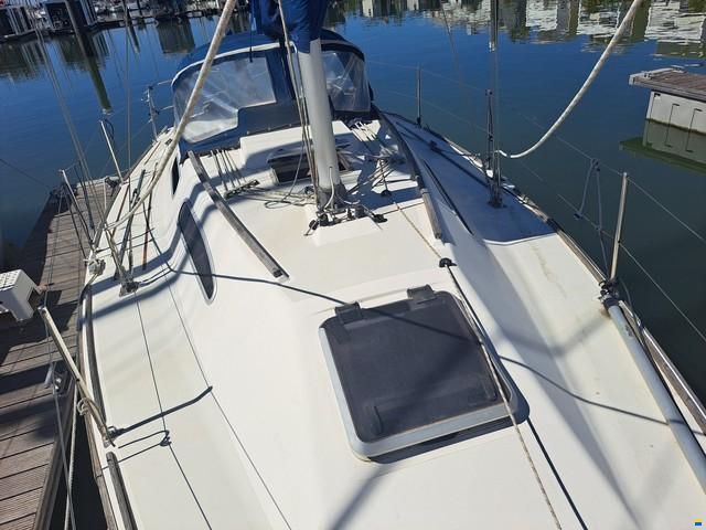 Westerly Regata 310
