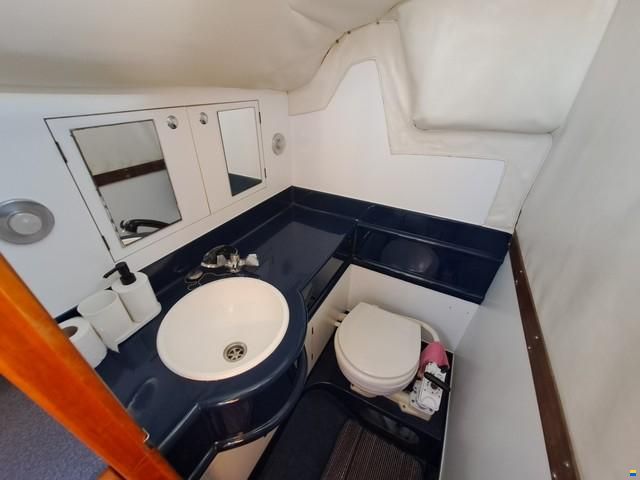 Westerly Regata 310
