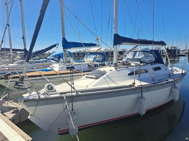 Westerly Regata 310
