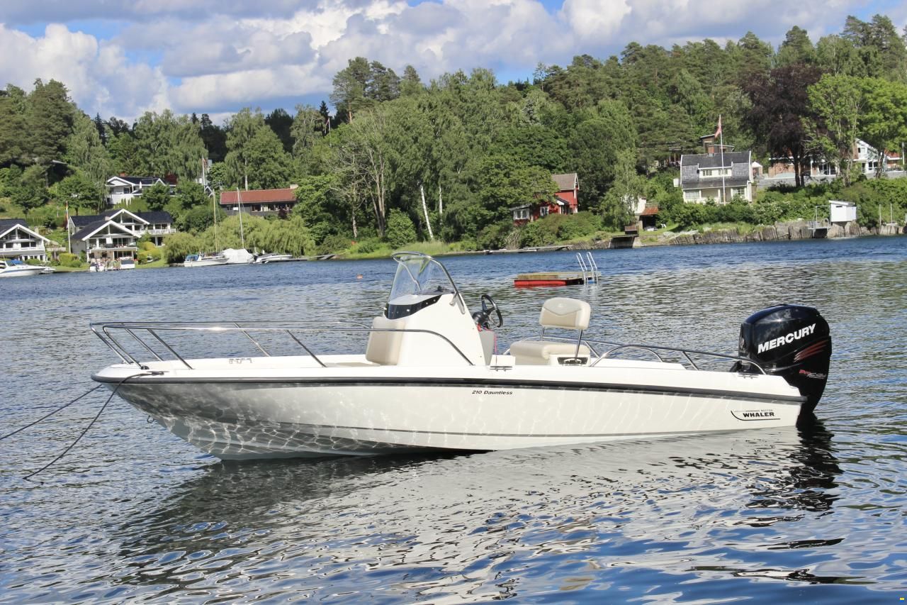 Boston Whaler 210 Dauntless