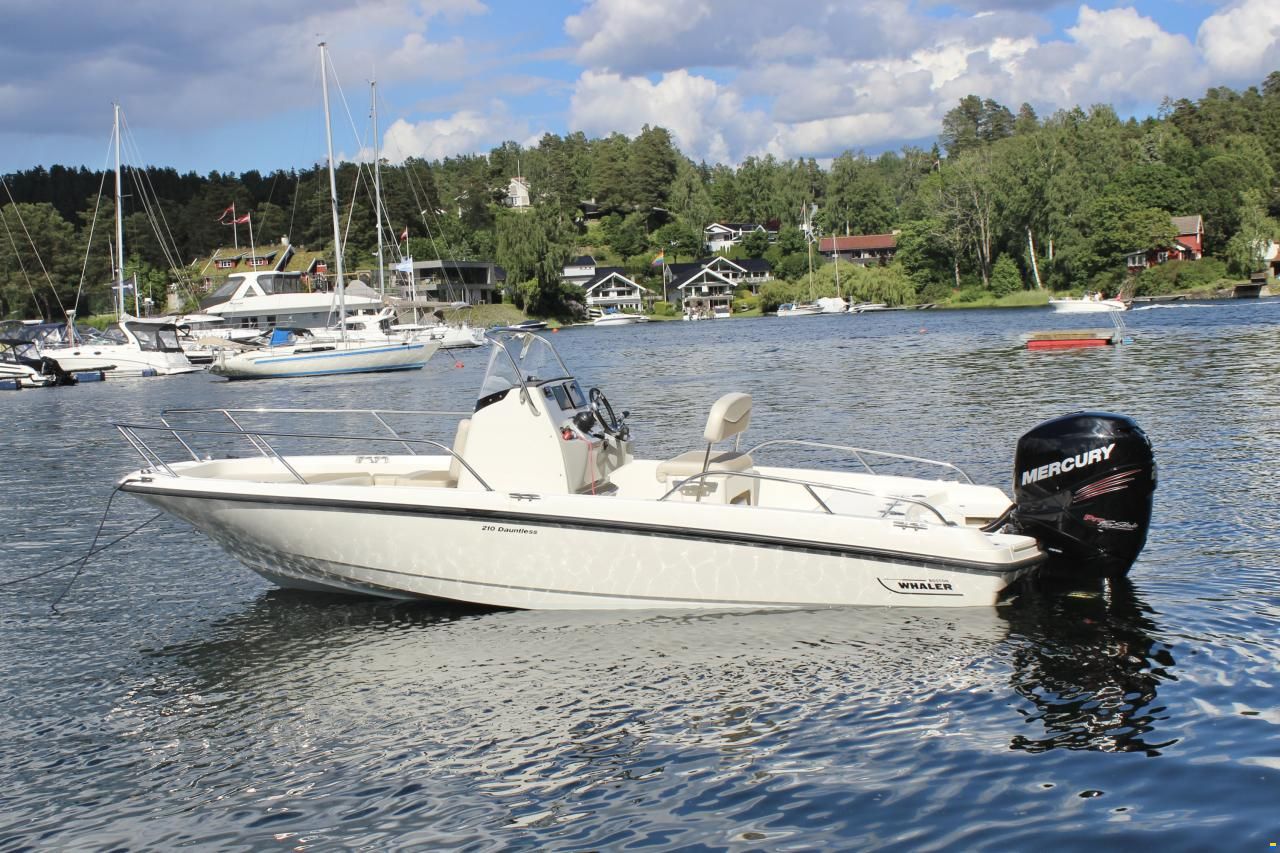 Boston Whaler 210 Dauntless