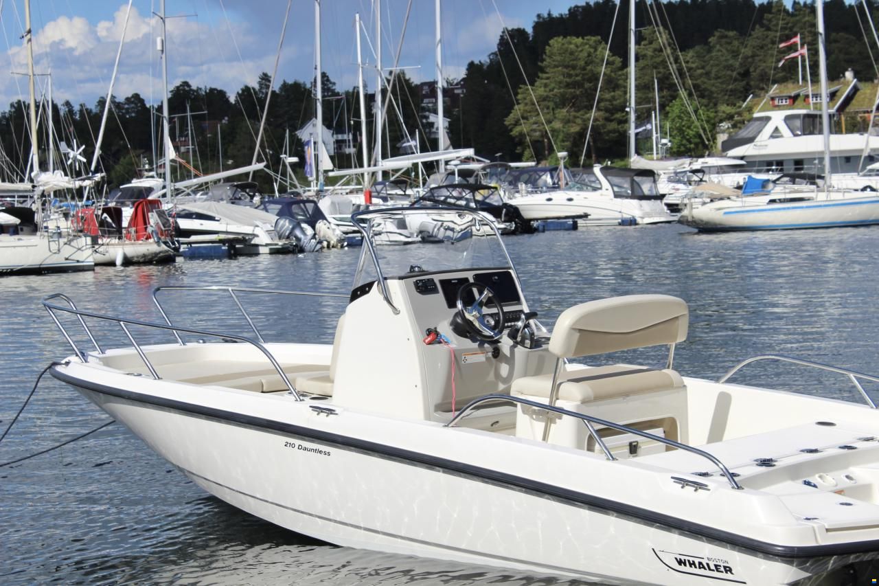 Boston Whaler 210 Dauntless