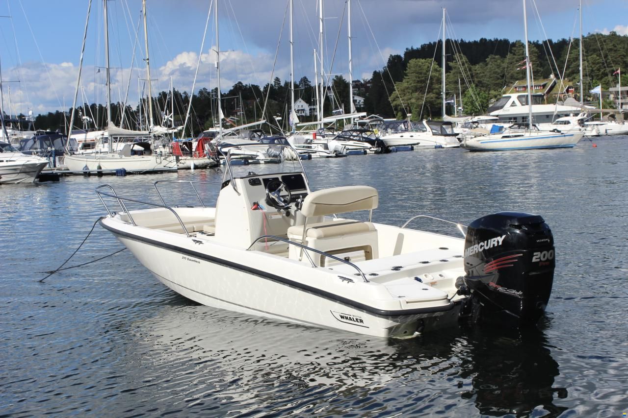 Boston Whaler 210 Dauntless