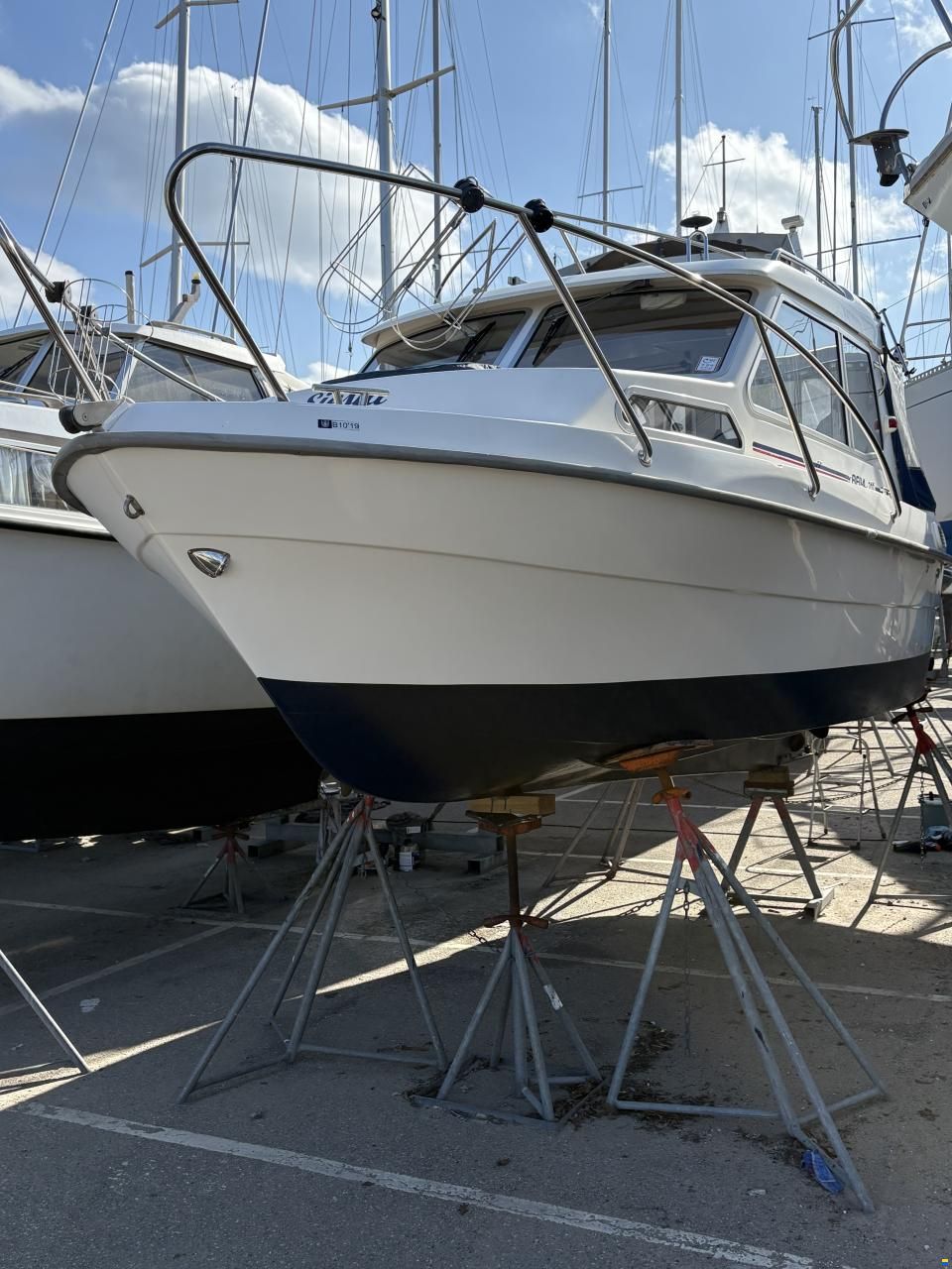 Bella 703