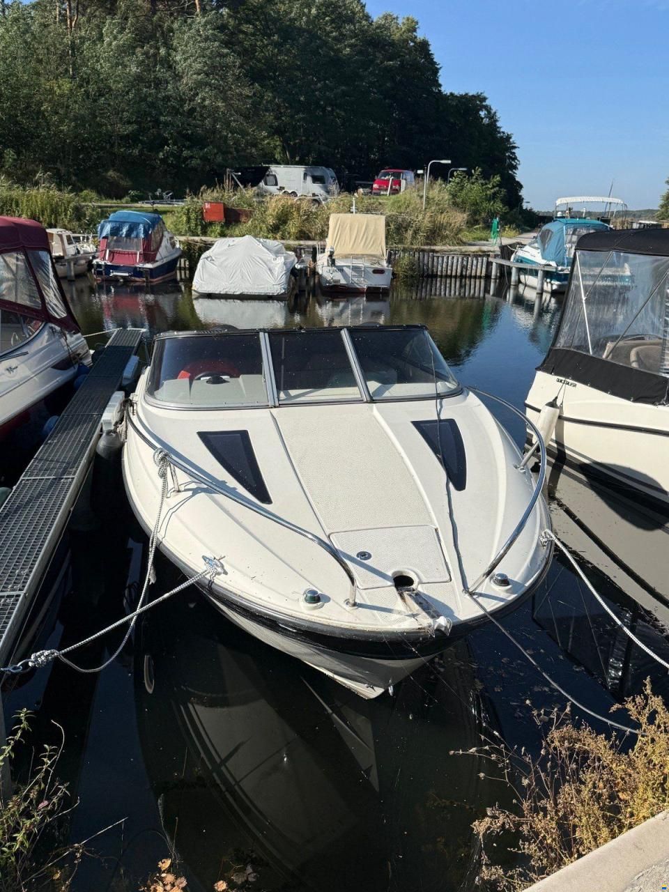 Bayliner 642 CUDDY