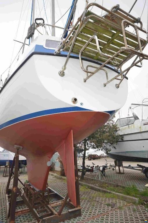 Lionello - Laverda COMPASS 31