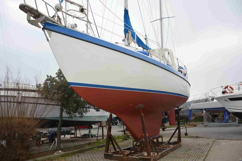 Lionello - Laverda COMPASS 31