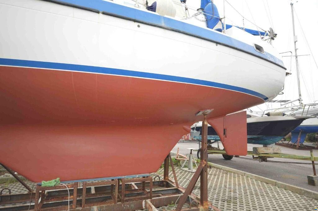 Lionello - Laverda COMPASS 31