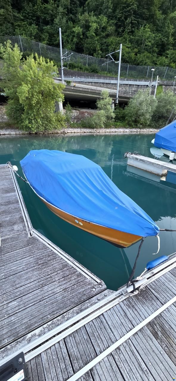 Steiner 570