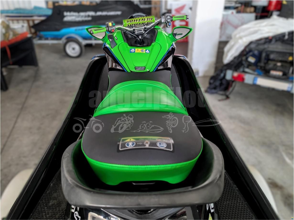 Kawasaki Ultra 310R
