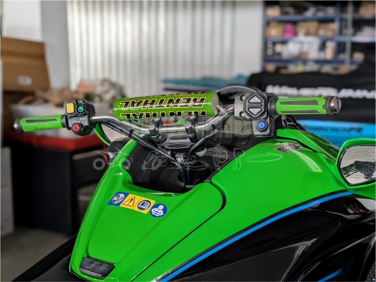 Kawasaki Ultra 310R