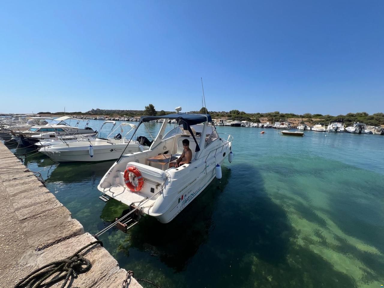 Saver ALBATROSS 260
