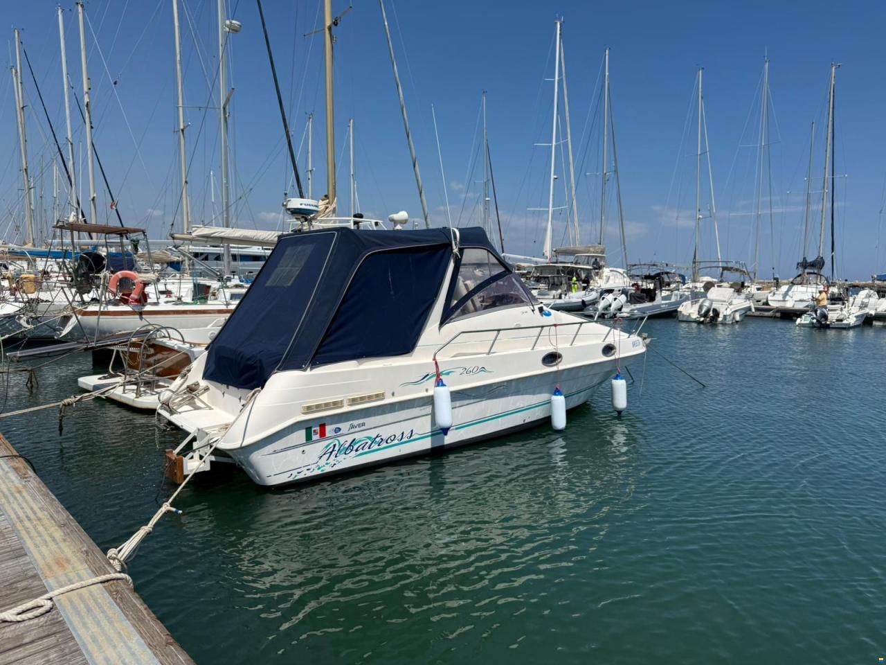Saver ALBATROSS 260