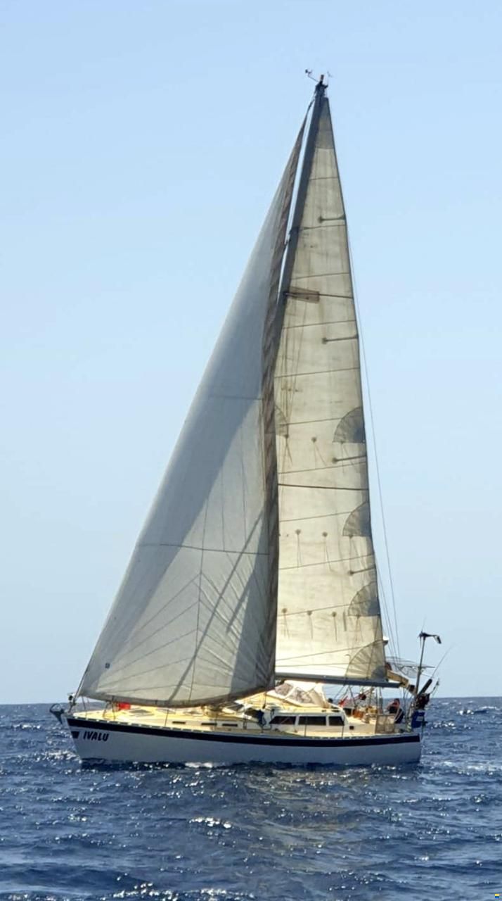 Sandmeier 43