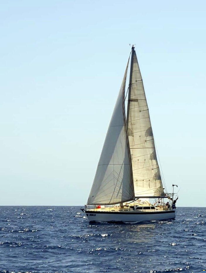 Sandmeier 43