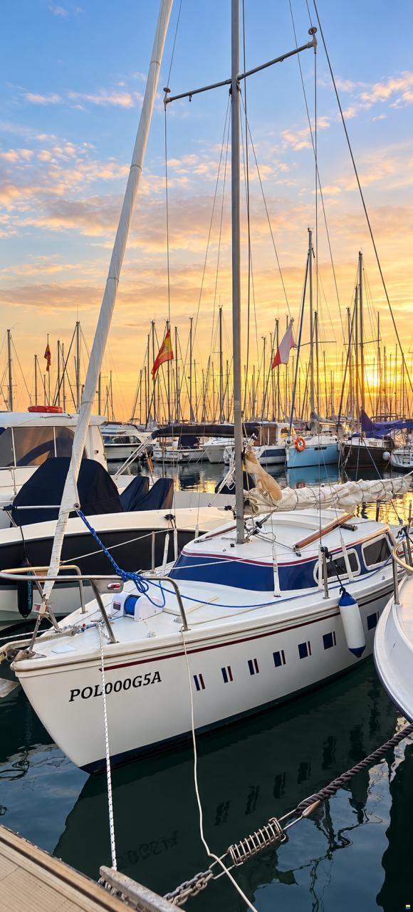 Catalina 22
