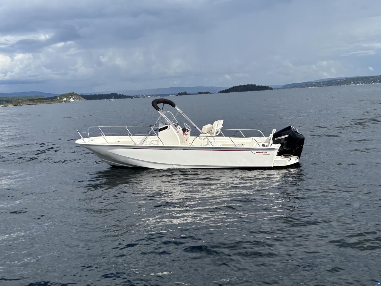 Boston Whaler 210 Montauk