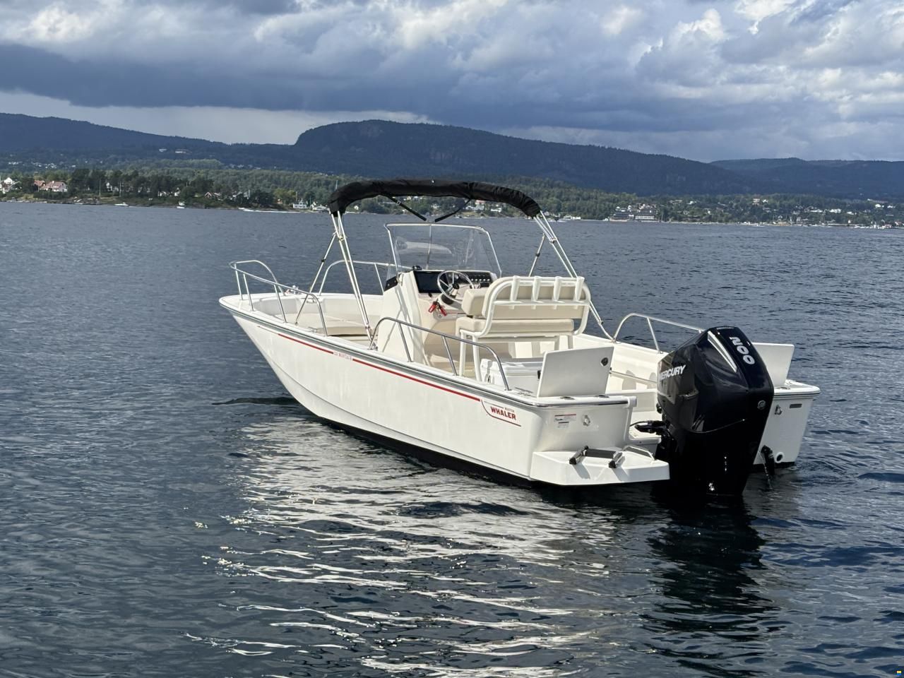 Boston Whaler 210 Montauk