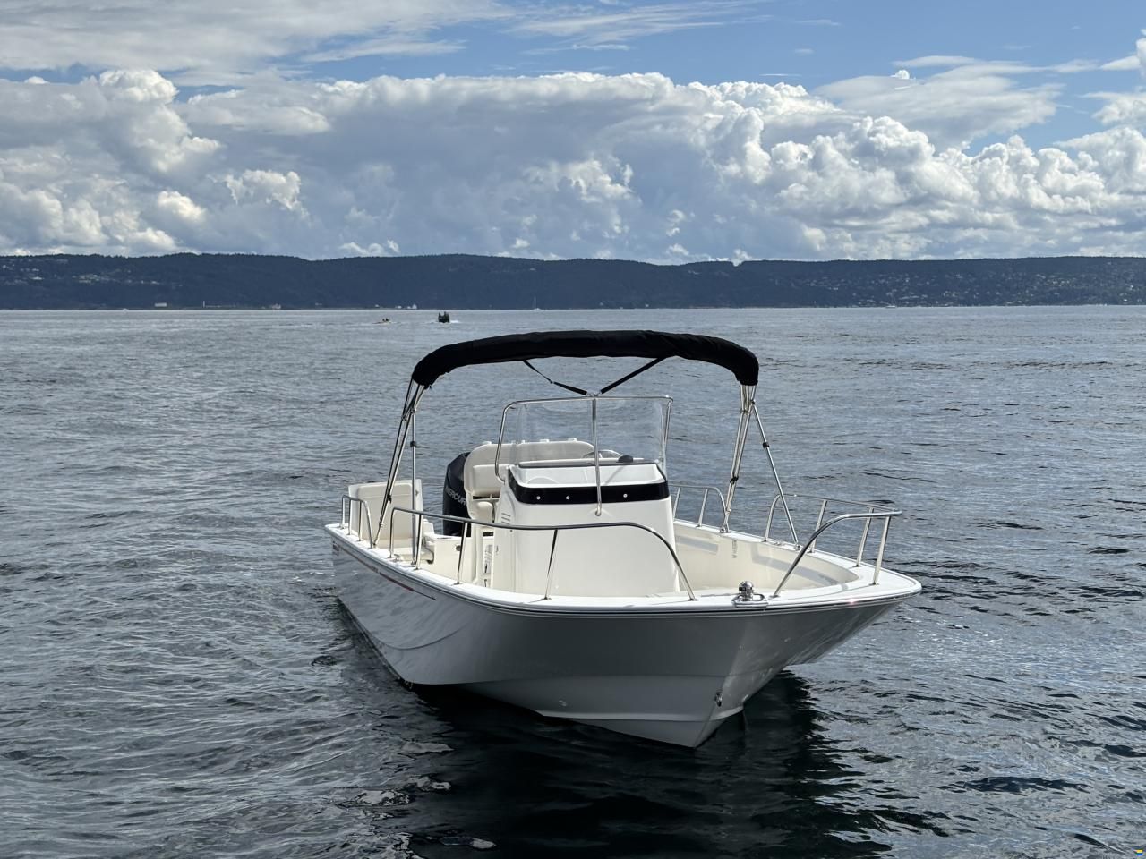 Boston Whaler 210 Montauk