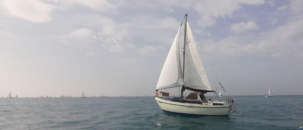 Automarine TORTUGA 27