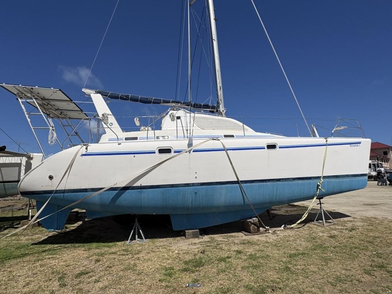 Leopard 38