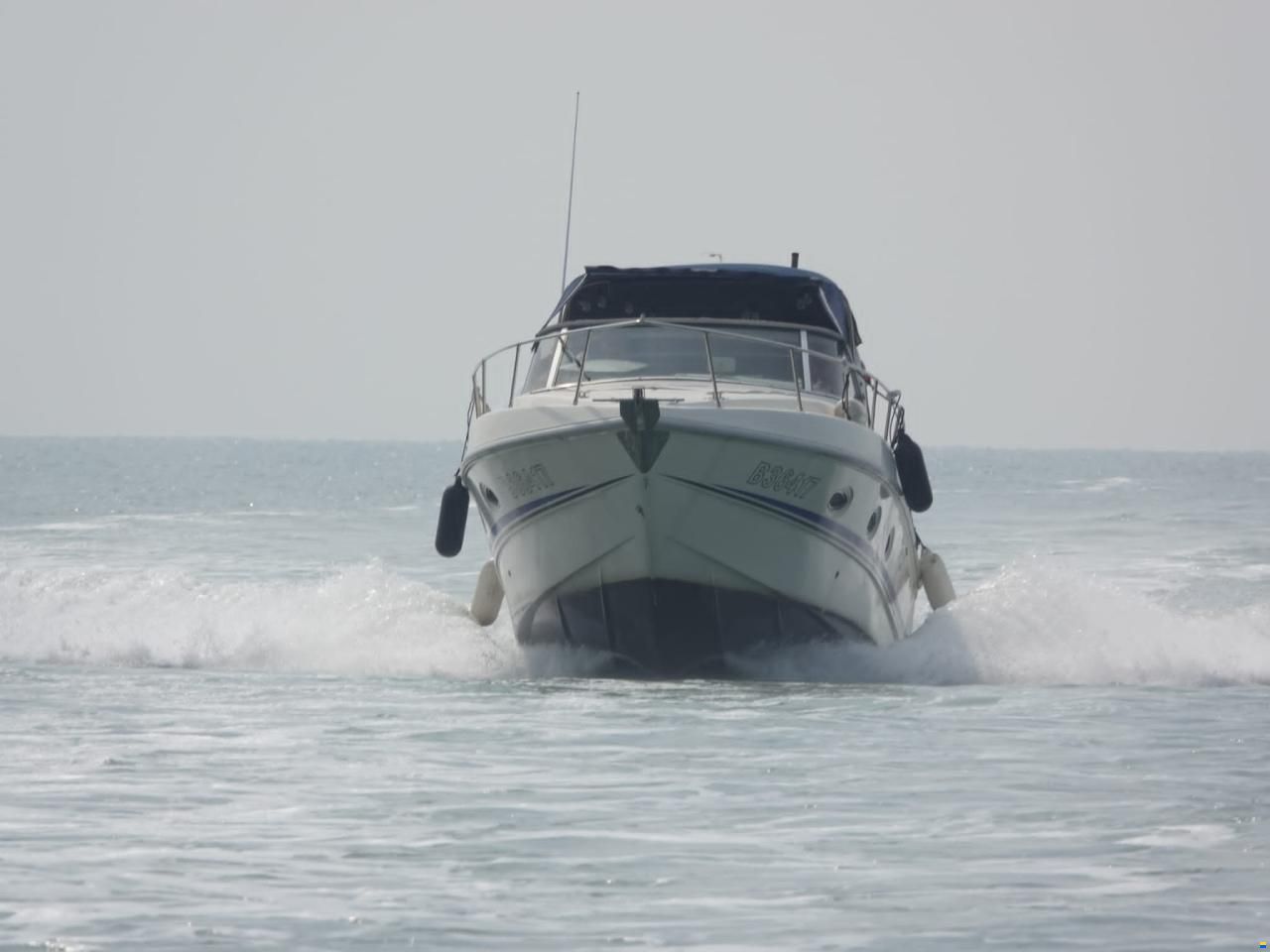 Acquaviva 295 Millenium