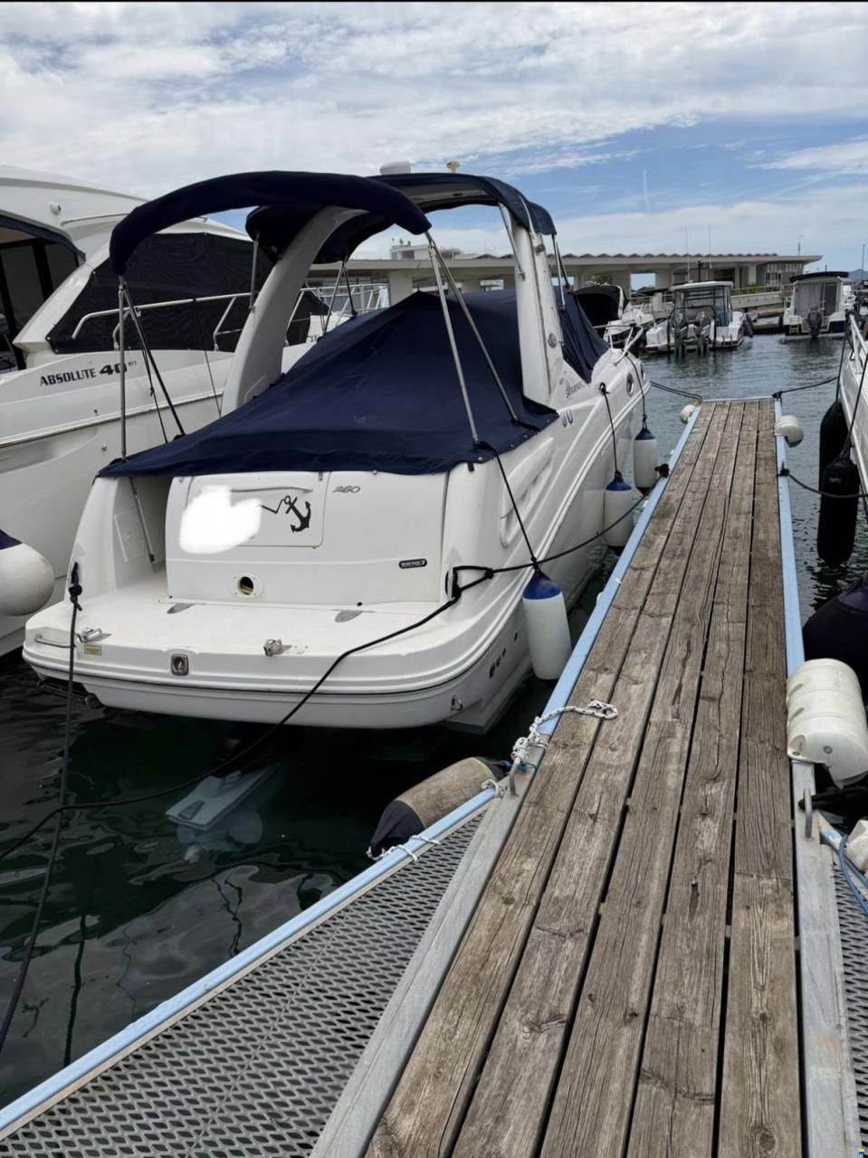 Sea Ray 260