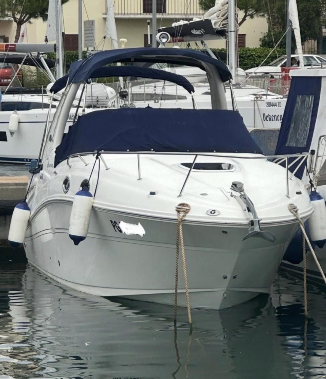 Sea Ray 260