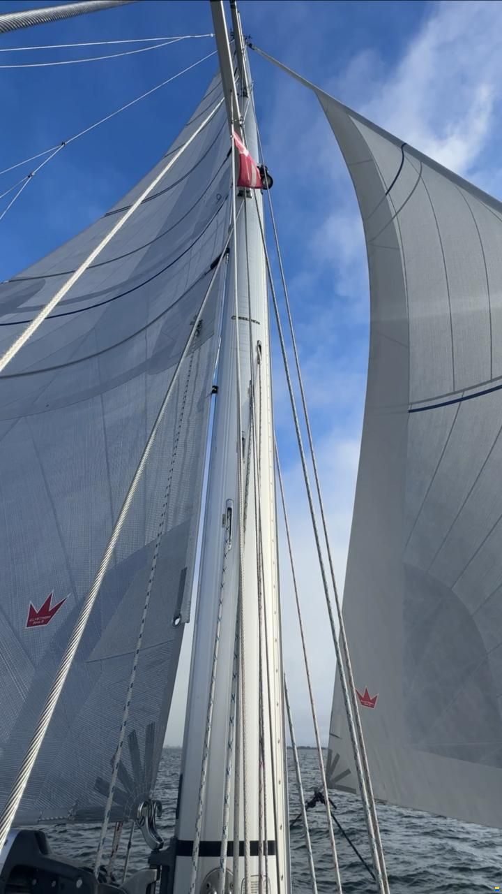 Finngulf 44