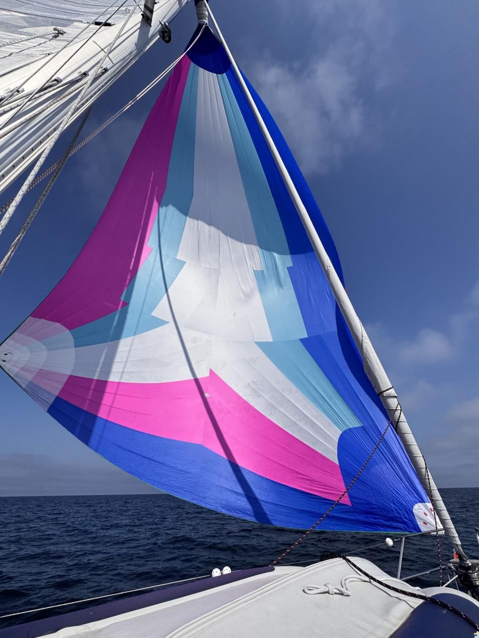 Finngulf 44