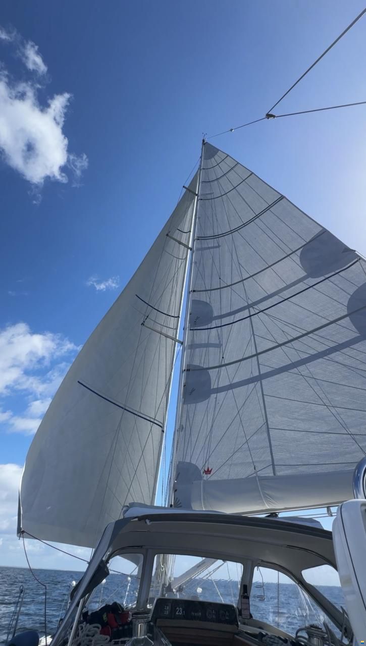 Finngulf 44