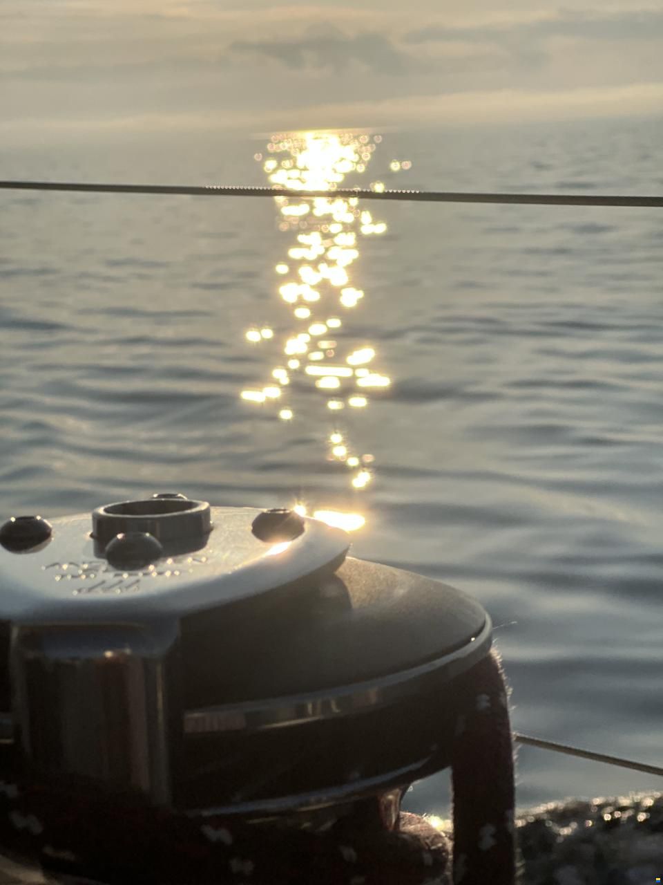Finngulf 44