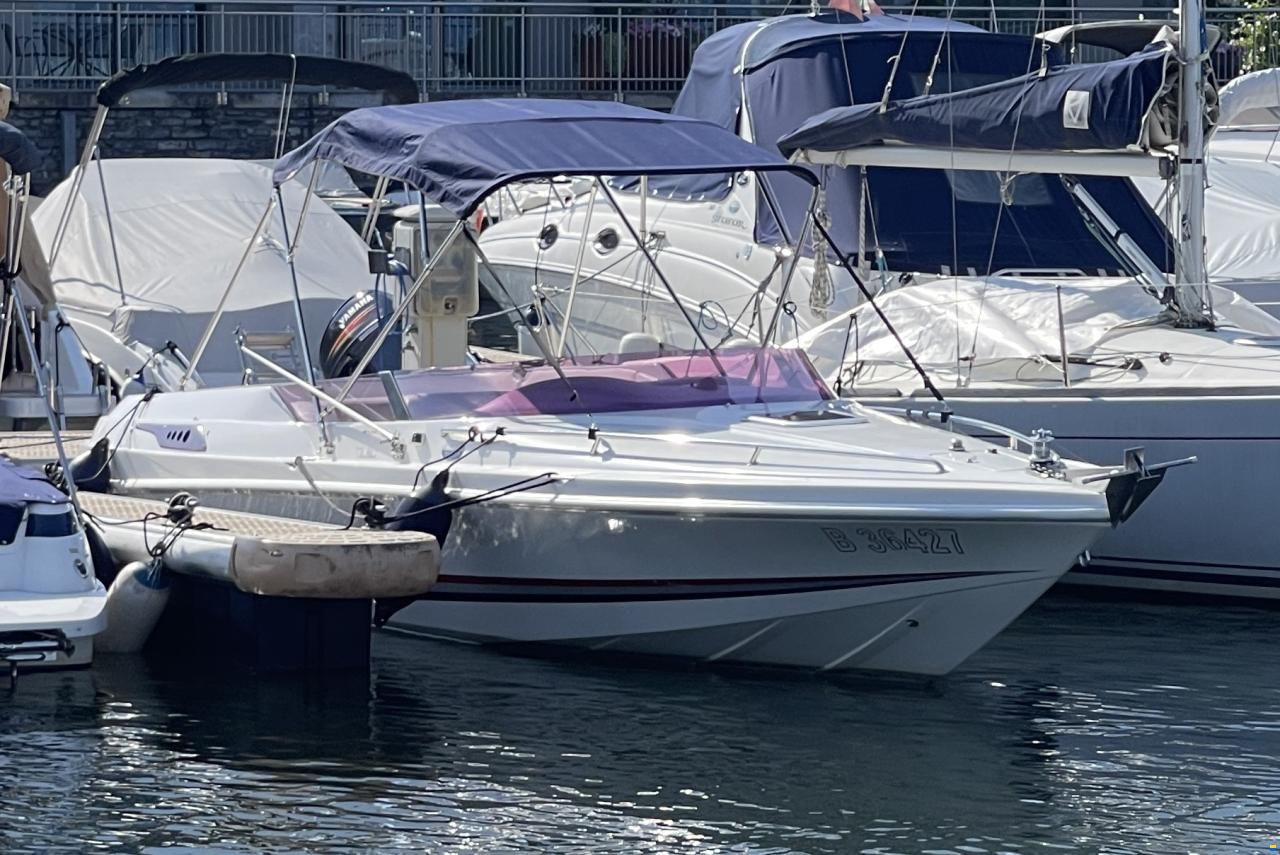 Tullio Abbate Sea Star Super 25