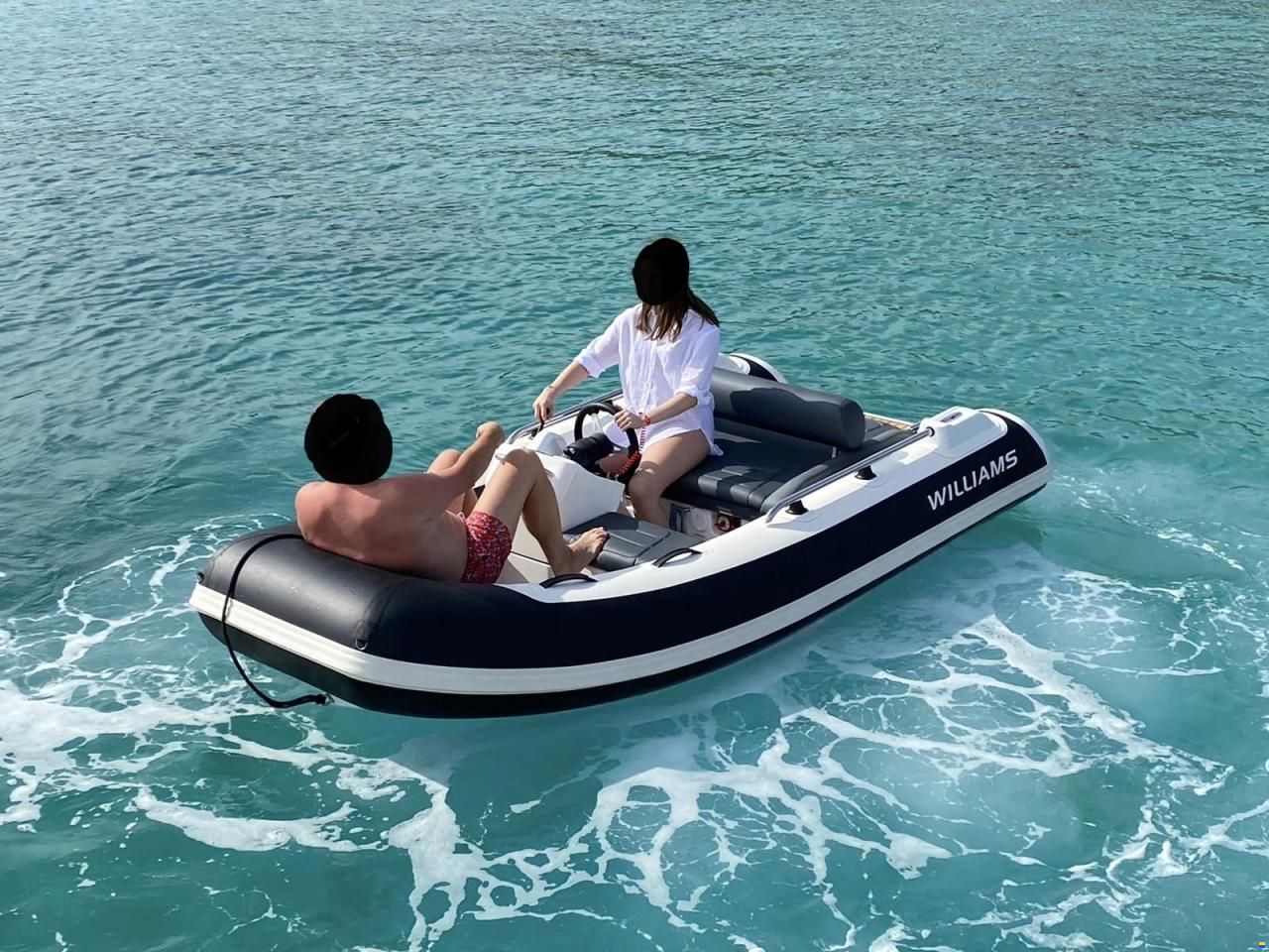 Williams Sportjet 345