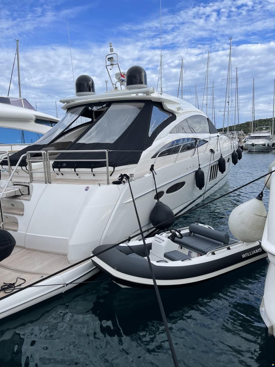 Williams Sportjet 345