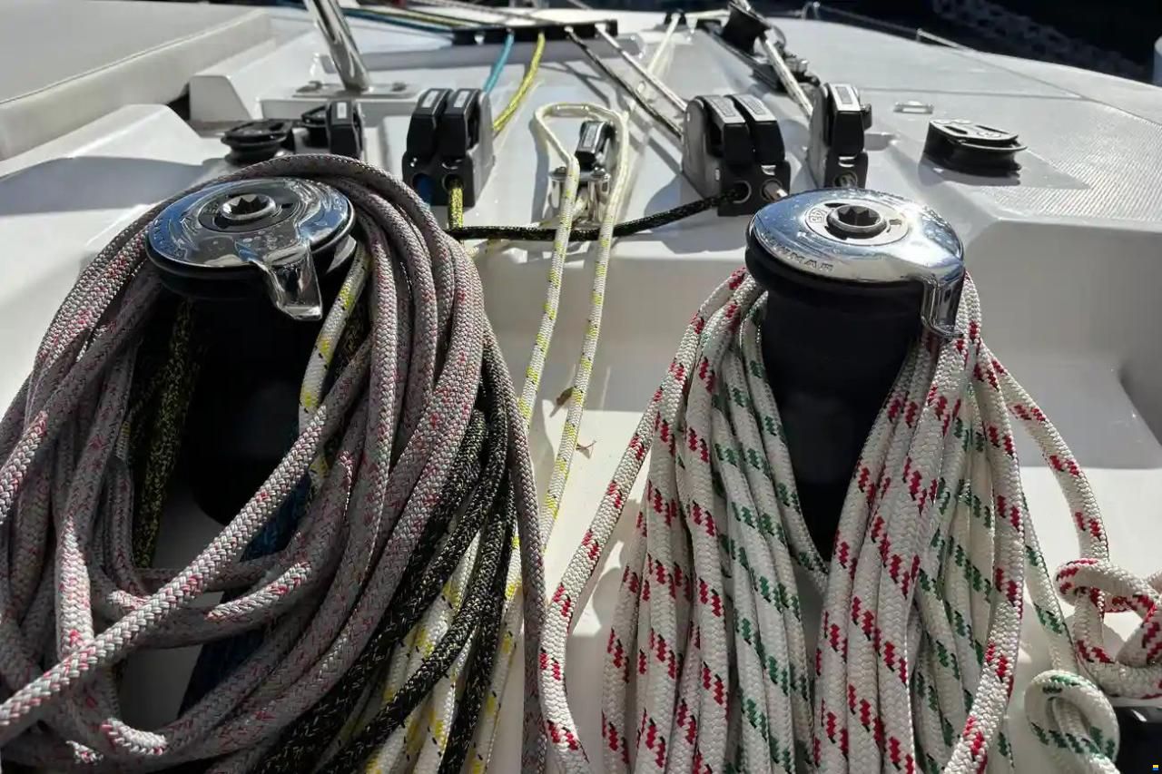 Leopard 43