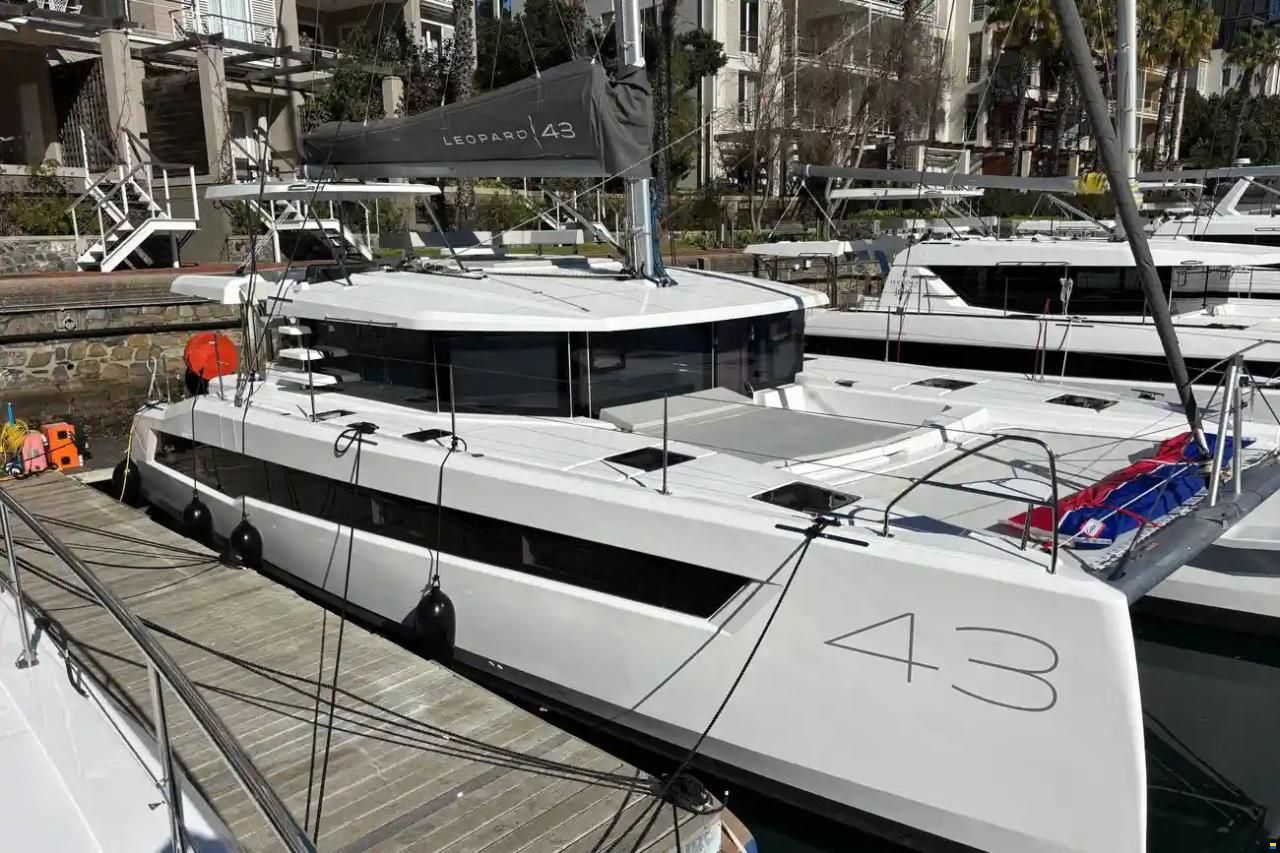 Leopard 43