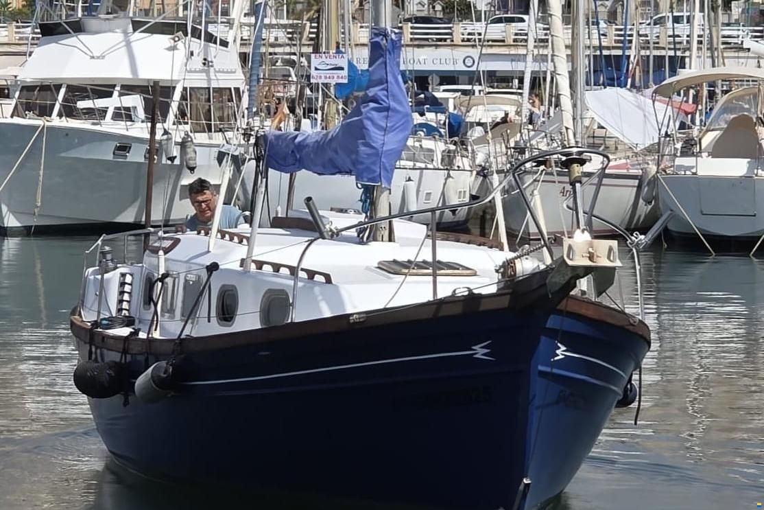 Myabca Delfin 31