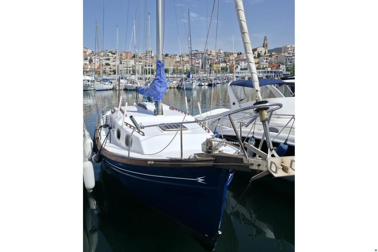 Myabca Delfin 31