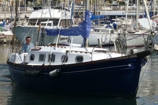 Myabca Delfin 31