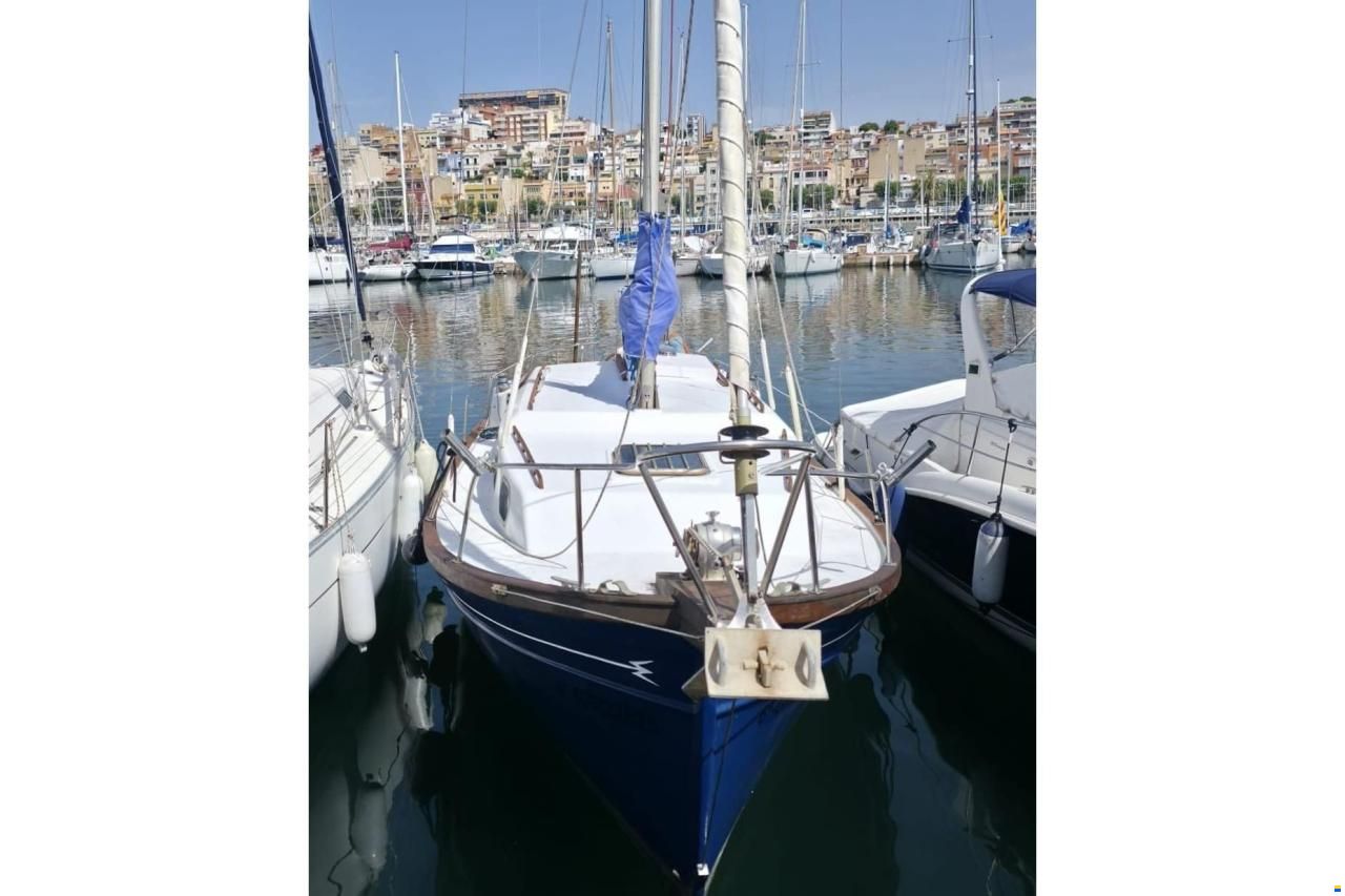 Myabca Delfin 31