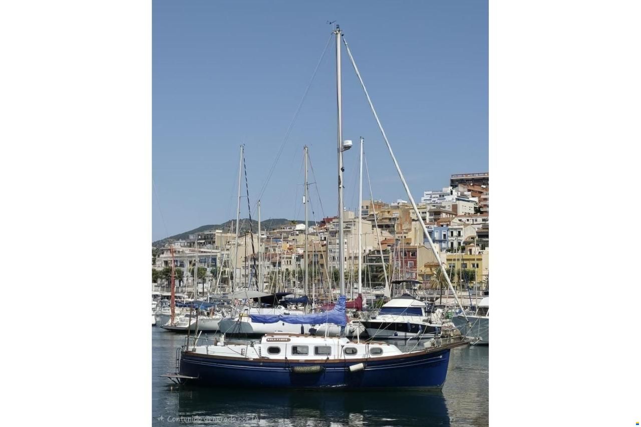 Myabca Delfin 31