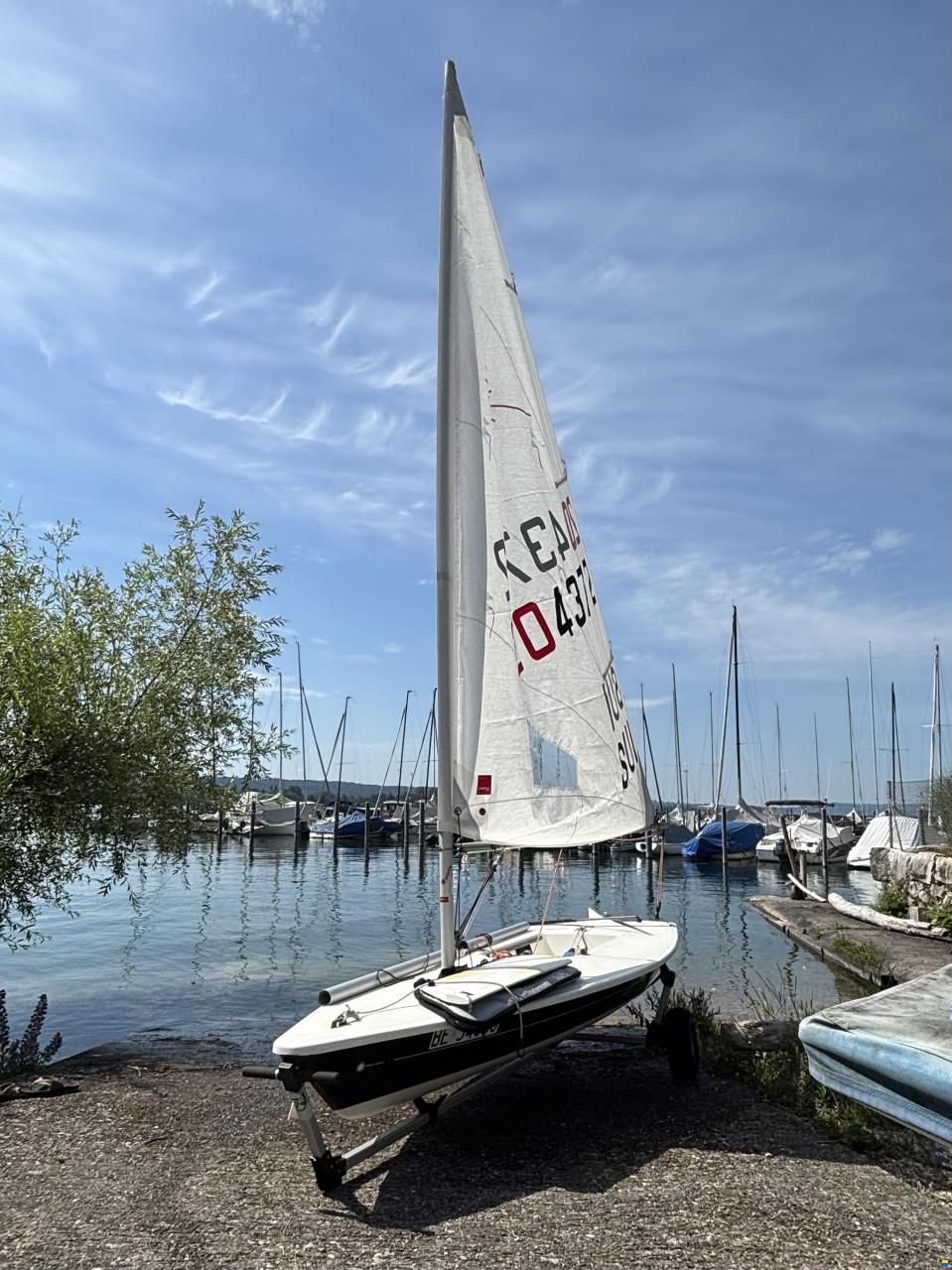 Laser Standard / Radial